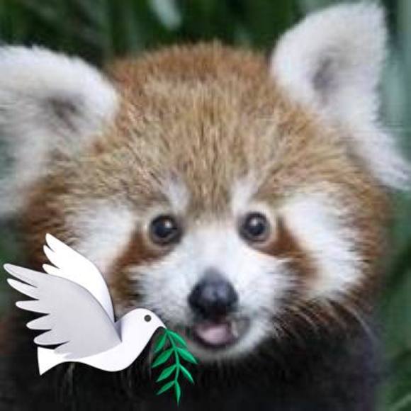 Meet the Posher Other - Meet your Posher, Shannon